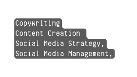 Copywriting Content Creation Social Media Strategy Social Media Management